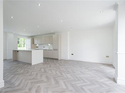 Picture 24